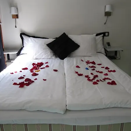 Iqsuites-2